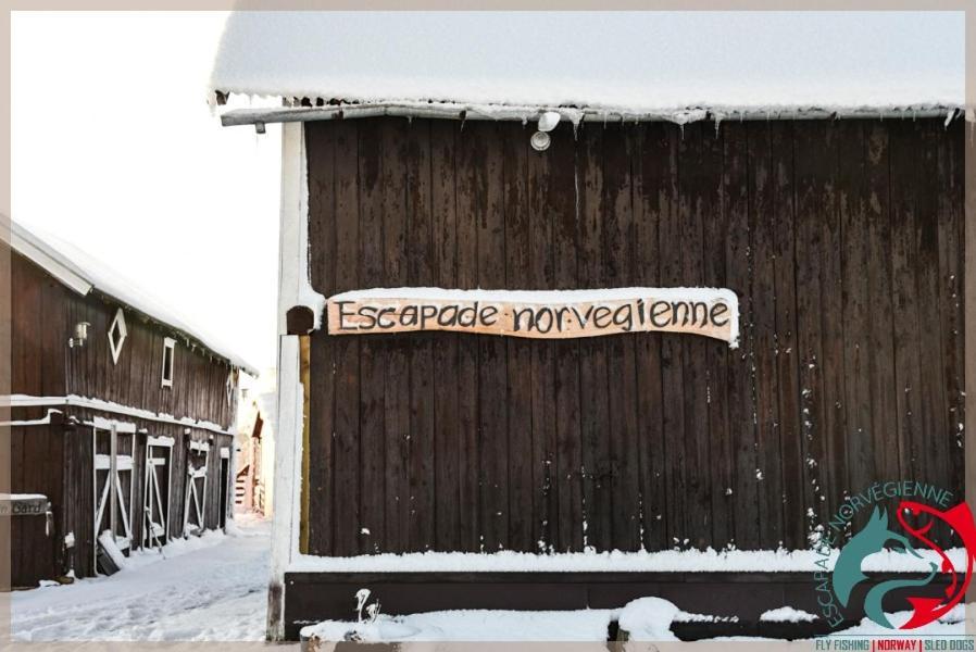 Apartament Escapade Norvegienne Tolga Zewnętrze zdjęcie