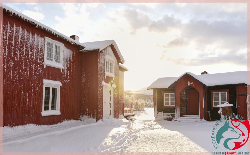 Apartament Escapade Norvegienne Tolga Zewnętrze zdjęcie