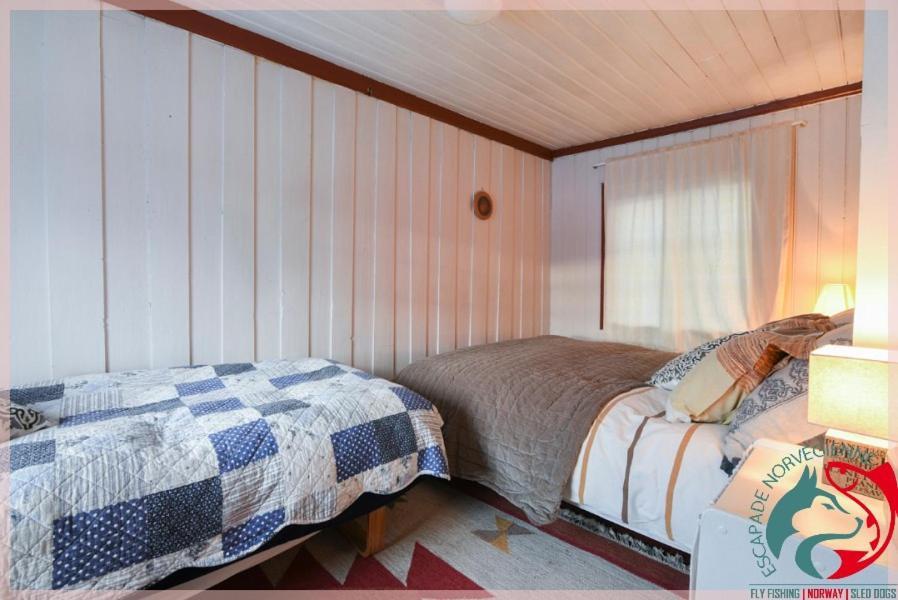 Apartament Escapade Norvegienne Tolga Zewnętrze zdjęcie