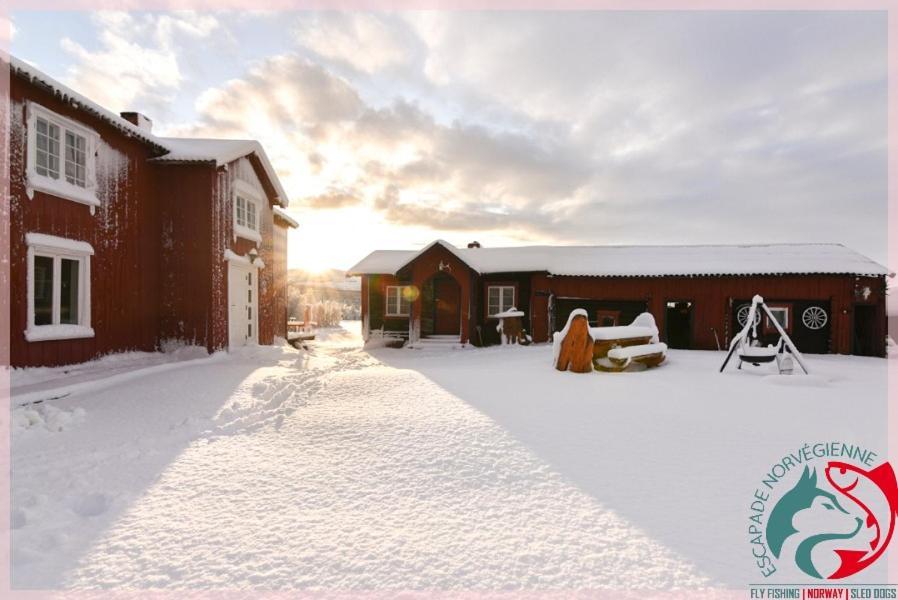 Apartament Escapade Norvegienne Tolga Zewnętrze zdjęcie