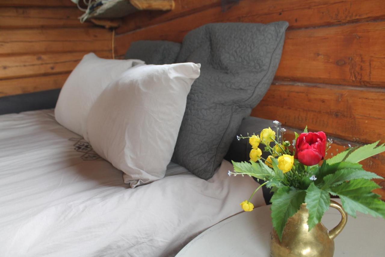 Apartament Escapade Norvegienne Tolga Zewnętrze zdjęcie
