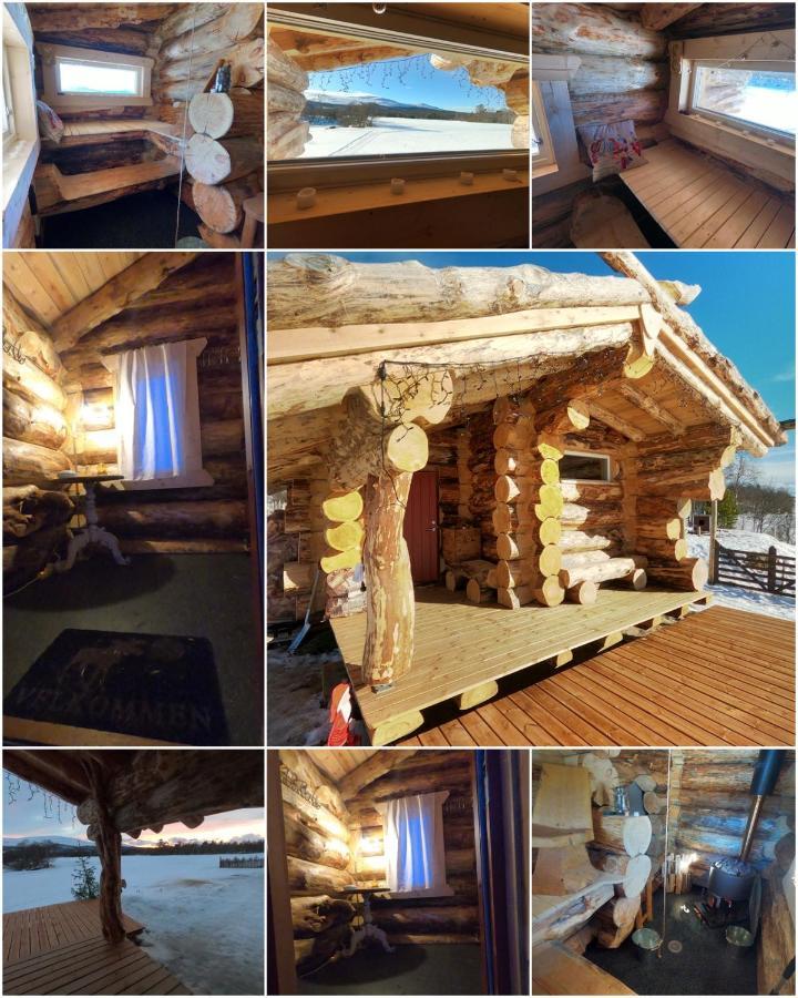 Apartament Escapade Norvegienne Tolga Zewnętrze zdjęcie