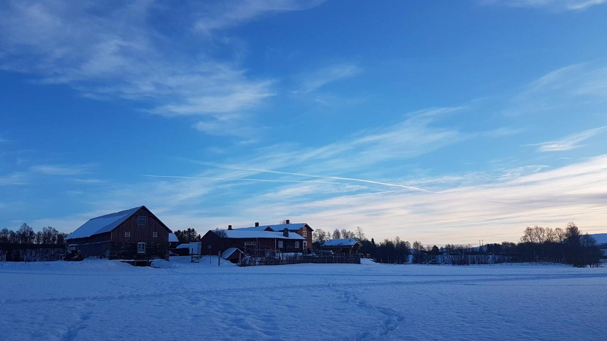 Apartament Escapade Norvegienne Tolga Zewnętrze zdjęcie