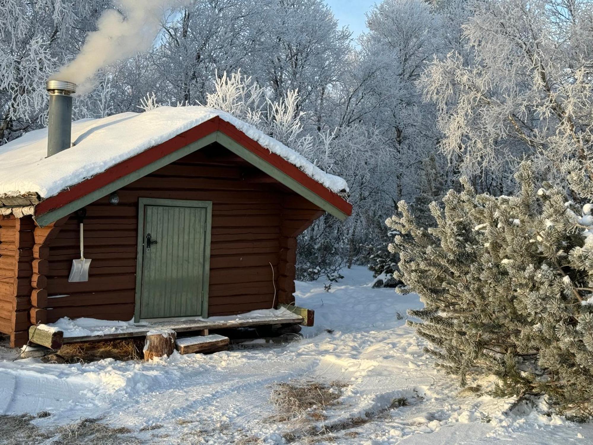 Apartament Escapade Norvegienne Tolga Zewnętrze zdjęcie