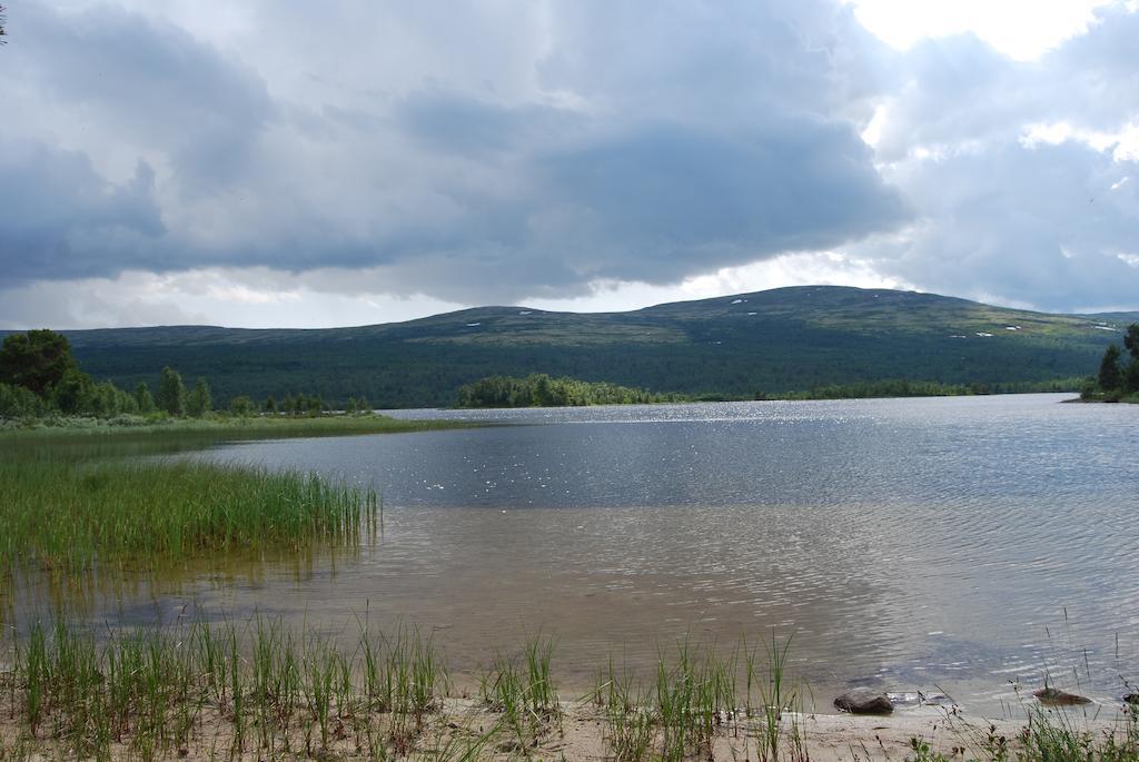 Apartament Escapade Norvegienne Tolga Zewnętrze zdjęcie