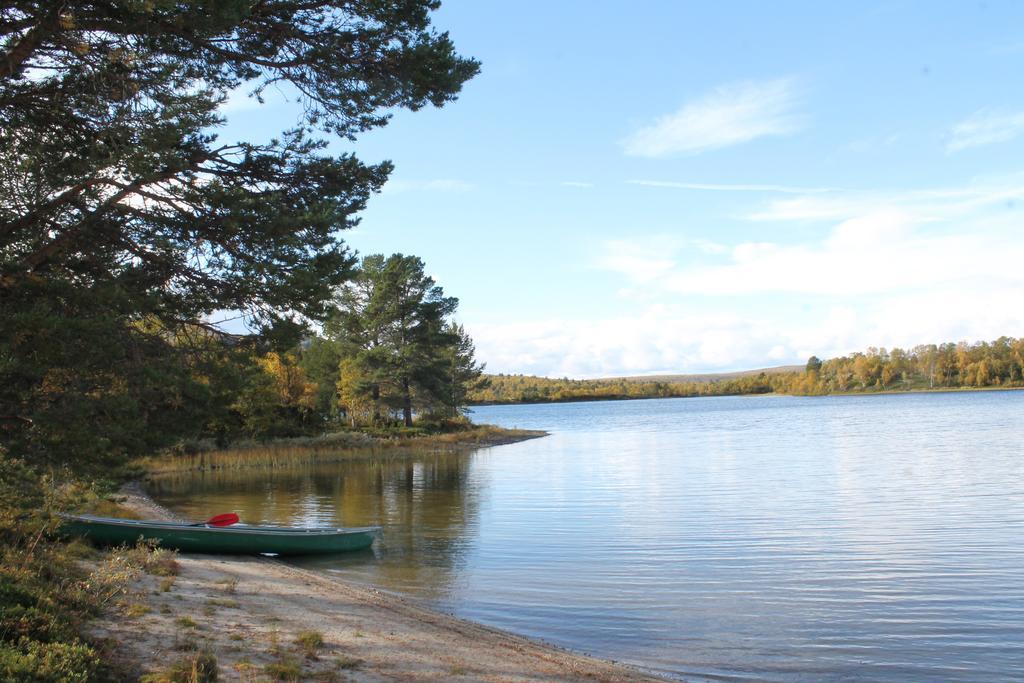 Apartament Escapade Norvegienne Tolga Zewnętrze zdjęcie