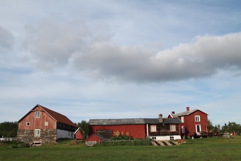 Apartament Escapade Norvegienne Tolga Zewnętrze zdjęcie